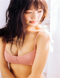 布局1991